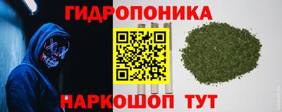 гашик Можга