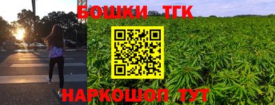 гашик Можга