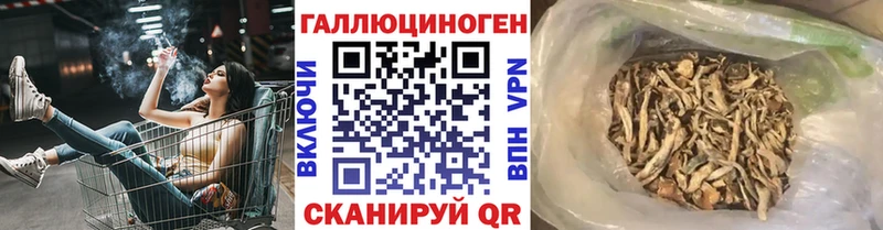 Галлюциногенные грибы MAGIC MUSHROOMS  как найти   Тавда 