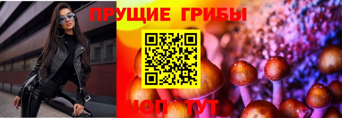 Галлюциногенные грибы прущие грибы  Вход с VPN  Галлюциногенные грибы Psilocybe  Тавда 
